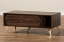 Eligah Walnut Brown and Gold Coffee Table Baxton