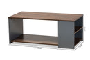 Corrine Two-Tone Walnut Brown and Gray Storage Coffee Table Baxton