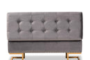 Carville Gray Velvet Fabric Upholstered and Gold Finished Metal Storage Ottoman Baxton