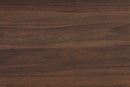 Davina Walnut Brown and Gold Metal 2-Drawer Coffee Table Baxton