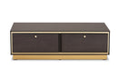Davina Dark Brown and Gold Metal 2-Drawer Coffee Table Baxton