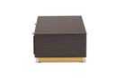 Davina Dark Brown and Gold Metal 2-Drawer Coffee Table Baxton