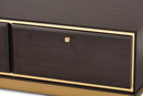 Davina Dark Brown and Gold Metal 2-Drawer Coffee Table Baxton