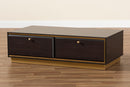 Davina Dark Brown and Gold Metal 2-Drawer Coffee Table Baxton