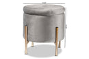 Desma Gray Velvet Fabric Upholstered and Gold Finished Metal Storage Ottoman Baxton