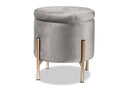 Desma Gray Velvet Fabric Upholstered and Gold Finished Metal Storage Ottoman Baxton