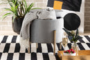 Desma Gray Velvet Fabric Upholstered and Gold Finished Metal Storage Ottoman Baxton