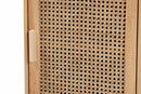 Ailith Rattan and Natural Brown 1-Door End Table Baxton