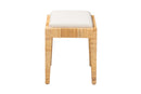 Lumines Natural Brown Rattan and Mahogany Wood Ottoman Baxton