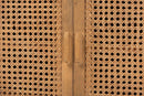 Carlin Bohemian Natural Rattan and Reclaimed Wood Cabinet Baxton