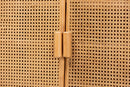Kendall Light Honey Rattan 2-Door Storage Cabinet Baxton