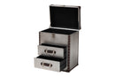 Dilan Silver Metal 2-Drawer End Table Baxton