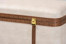 Benjamin Beige Faux Shagreen Storage Trunk Baxton