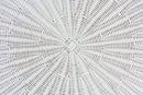 Claire Bohemian White Scalloped Rattan End Table Baxton