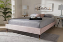 Terah Light Pink Velvet Fabric Full Size Wood Platform Bed w/Gold-Tone Leg Tips Baxton