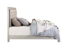 Sliverfluff Queen Bed w/Led, Faux Leather & Champagne Finish Acme