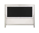 Sliverfluff Queen Bed w/Led, Faux Leather & Champagne Finish Acme