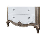 Esteban 5 Storage Drawers Chest, Antique Champagne Finish Acme