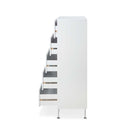 Deoss 5 Storage Drawers Chest, White Finish Acme