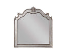 Esteban 43"x45" Mirror, Antique Champagne Finish Acme