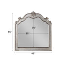 Esteban 43"x45" Mirror, Antique Champagne Finish Acme