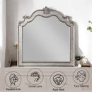 Esteban 43"x45" Mirror, Antique Champagne Finish Acme