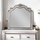 Esteban 43"x45" Mirror, Antique Champagne Finish Acme