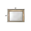 Skylar 49"x37" Mirror w/Led, Dark Champagne Finish Acme