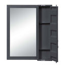 Cargo Vanity 26"x32" Mirror, Gunmetal Finish Acme