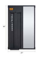 Cargo 25"x40" Mirror, Gunmetal Finish Acme