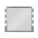 Sliverfluff 41"x36" Mirror w/Light, Mirrored & Champagne Finish Acme