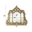 Cabriole 54"x60" Mirror, Gold Finish Acme