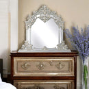 Sandoval 54"x59" Mirror, Champagne Finish Acme