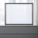 Jehoram 50"x38" Mirror, Gray Finish Acme