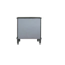 House Beatrice Nightstand, Charcoal & Light Gray Finish Acme