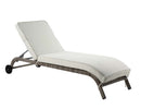 Salena Patio Sun Lounge, Beige Fabric & Gray Finish Acme