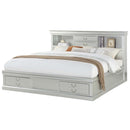 Louis Philippe III Queen Bed w/Storage, Platinum Finish Acme