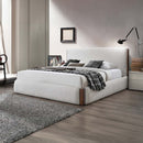 Sandro King Bed, White Boucle & Walnut Finish Acme