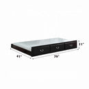 Bailee Trundle (Twin), Black Finish Acme