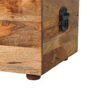 Beige Buffalo hide leather Storage Trunk Artisan