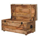 Beige Buffalo hide leather Storage Trunk Artisan