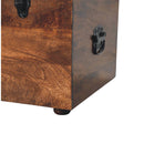 Black Buffalo hide leather Storage Trunk Artisan