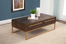 Raquel 2 Drawers Coffee Table Alpine