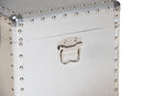 Nadra French Industrial Silver Metal Storage Trunk Baxton
