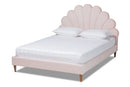 Hansel Light Pink Velvet Walnut Brown Queen Size Seashell Shaped Platform Bed Baxton