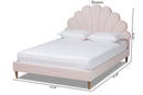 Hansel Light Pink Velvet Walnut Brown Queen Size Seashell Shaped Platform Bed Baxton