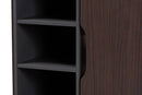 Emmali Two-Tone Dark Brown and Gray 1-Door Shoe Cabinet Baxton