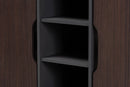 Emmali Two-Tone Dark Brown and Gray 2-Door Shoe Cabinet Baxton