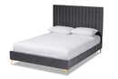 Tristan Gray Velvet Fabric Upholstered and Gold Metal Queen Size Platform Bed Baxton