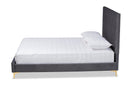 Tristan Gray Velvet Fabric Upholstered and Gold Metal Queen Size Platform Bed Baxton